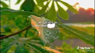 STORY WA || SHOLAWAT HABIBUNAL KARIM || ADEM BIKIN ANYEM