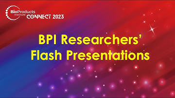 BPI Young Researchers Flash Presentations