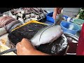 Amazing fast speed and accuracy fish cutting / Variety fish