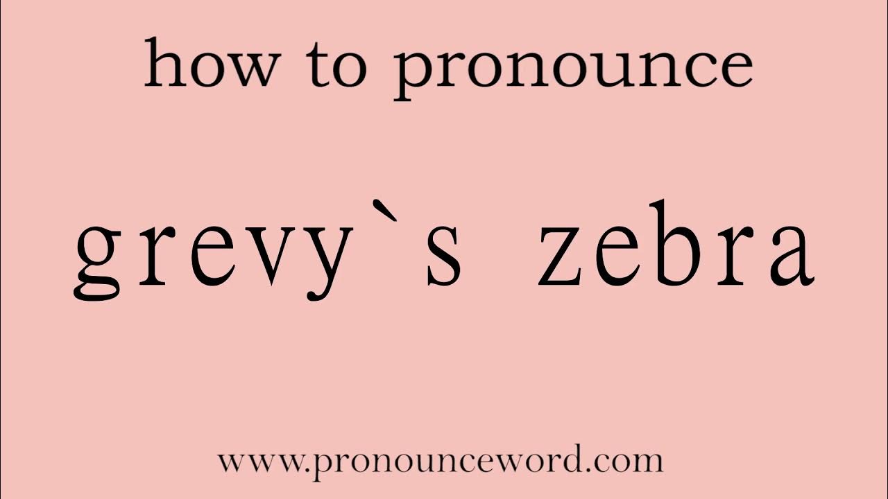 grevy`s zebra. How to pronounce the english word grevy`s zebra .Start