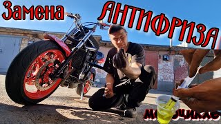 видео: Как поменять АНТИФРИЗ на Мотоцикле Triumph Street Triple Daytona 675 картинка: Как поменять АНТИФРИЗ на Мотоцикле Triumph Street Triple Daytona 675