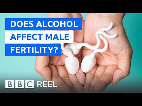 Poliklinika Harni - Alkohol povezan s lošijom kvlaitetom sperme i visokim testosteronom