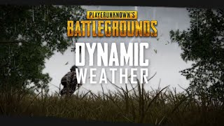 PUBG - New Feature - Dynamic Weather Trailer!!!