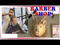 Барбершоп - Моя новая стрижка Есенин barbershop УФА| Vlog 💈