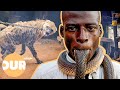 The Terrifying Animal Gangs Of Nigeria | Our Life