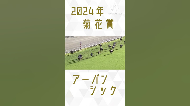 2024年 菊花賞 アーバンシック