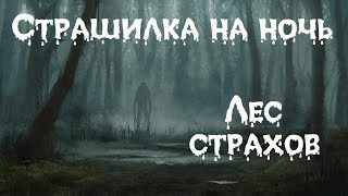 Страшилка на ночь. Лес страхов.