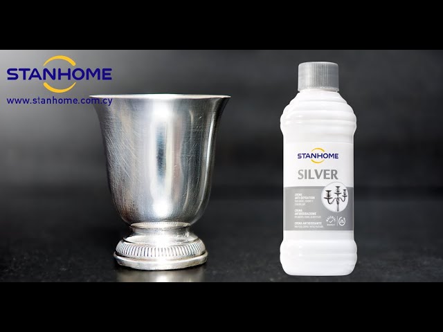 Stanhome Silver in azione 