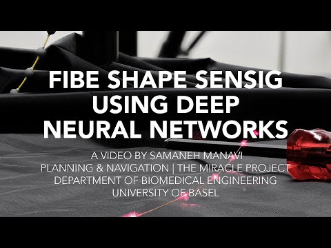 Fiber Shape Sensing