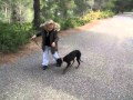 Justine(6ans) et Izia- Hiérarchisation de l'enfant par l'éducation