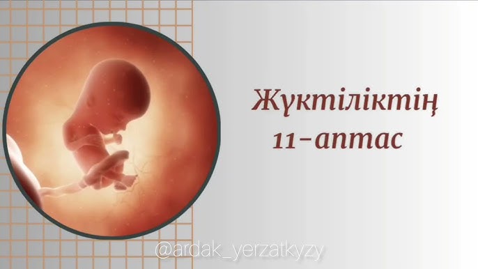 Ағасы ұйықтап жатқан қарындасын трахает Half Life 2-дегі эротика және секс