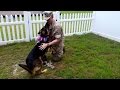 Military dad returns home after 7 months and receives an amazing reception from his dog