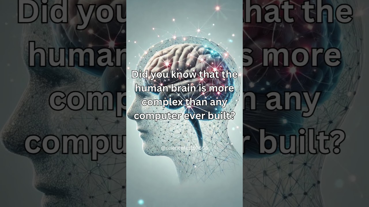 The Brain vs. Computers 