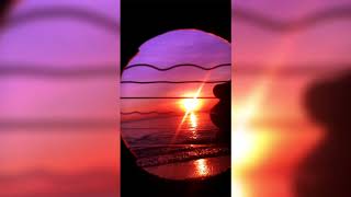 Can’t Help Falling in Love inside of a Guitar FingerStyle Arrangement