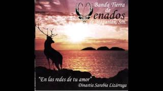 Video thumbnail of "Banda Tierra de Venados - Hey"