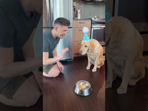 Video: Seeing Eye Guide Dog Fødselsdag