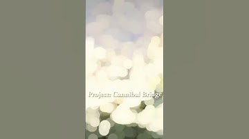 Sons of the forest - building a Bridge #sotf #theforest #gaming