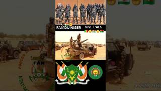 froces du niger 🦅🇳🇪✊️✔️ #duet ##mali #army #niger #shorts #viral #views #fyp #faso