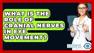 What Is The Role Of Cranial Nerves In Eye Movement? - Optometry Knowledge Base