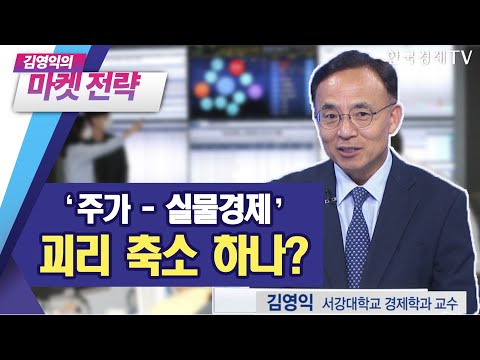 &amp;#39;주가-실물경제&amp;#39; <strong>괴리</strong> 축소 할수있을까? / 삼성전자, SK하이닉스, 현대차, 기아  / 김영익의 마켓전략 / 한국경제TV