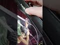Attack on Titan / Shingeki no Kyojin Eren Jaeger Figure - TikTok Video