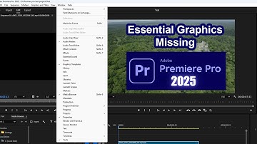 Essential graphics premiere pro not showing 2025