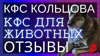 🔥Собака Симба (8 лет) породы алабай ▫️ Отзывы о КФС Кольцова ▫️ КФС для животных