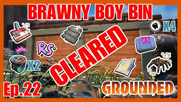 Inside The Brawny Boy Bin - Grounded