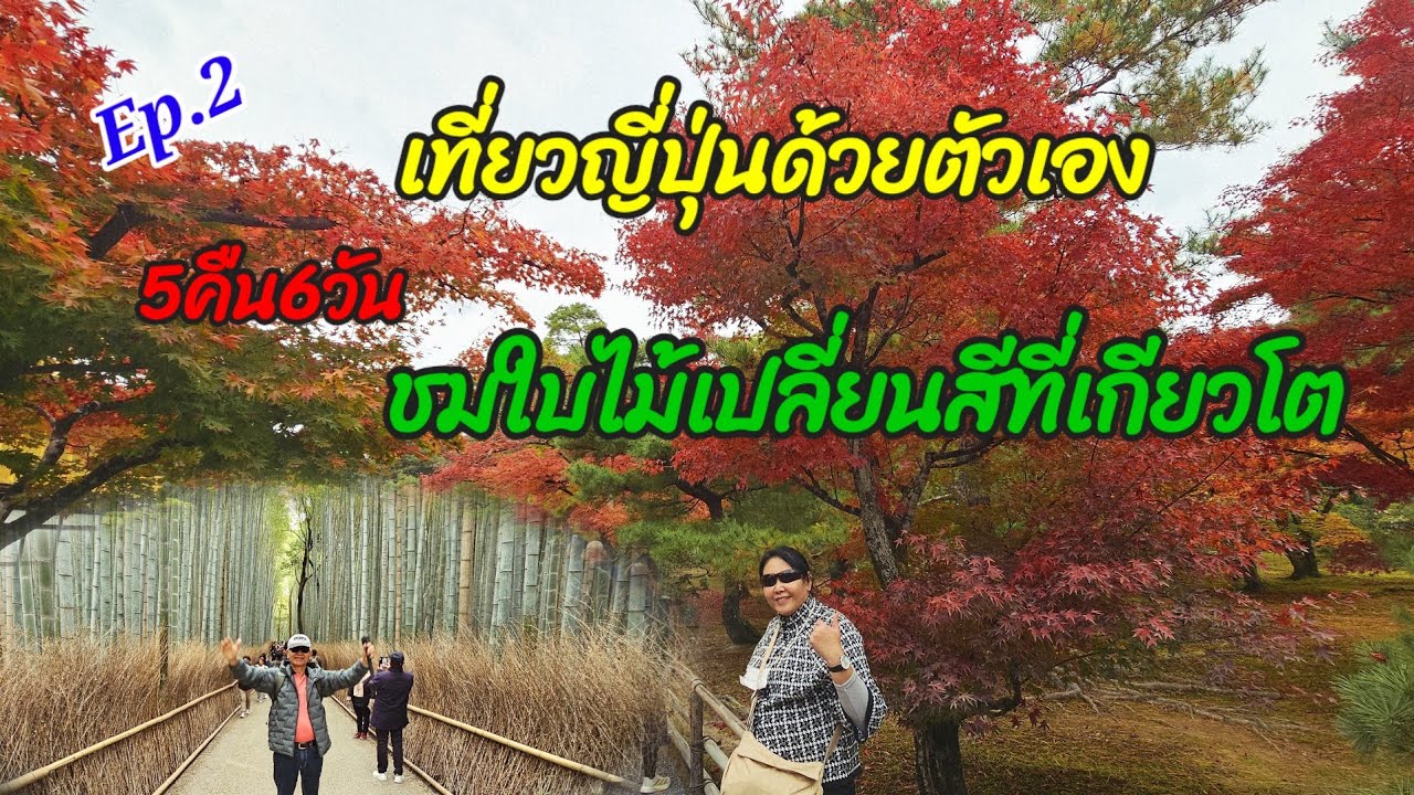 Ep.2 เที่ยวญี่ปุ่นด้วยตัวเอง 5คืน6วัน ใบไม้เปลี่ยนสีที่เกียวโต