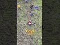 explaining cheese rolling #fyp #information #funny #cheese