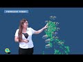 Public Weather Forecast issued at 5:00 AM | June 2, 2026 - Tuesday