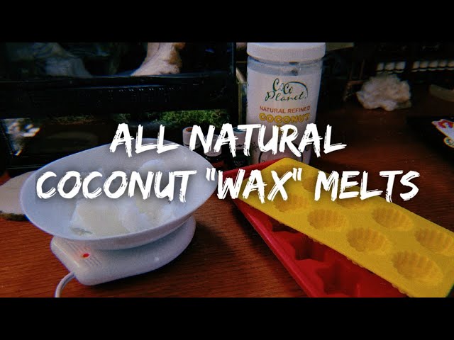 DIY, PET SAFE COCONUT OIL WAX MELTS USING YOUNG LIVING ESSENTIAL OIL