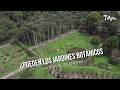 ¿Pueden los Jardines Botánicos salvar al planeta? - TvAgro por Juan Gonzalo Angel