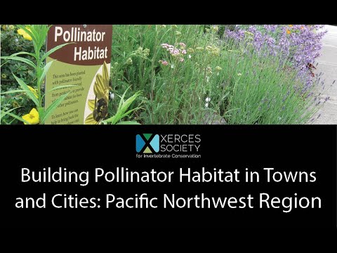 Building Pollinator Habitat in Towns and Cities: Pacific Northwest Region