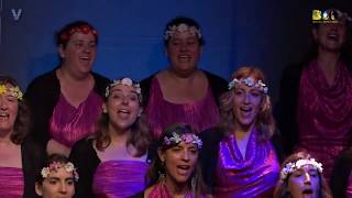 Corvivace - Baq - Dancing Queen