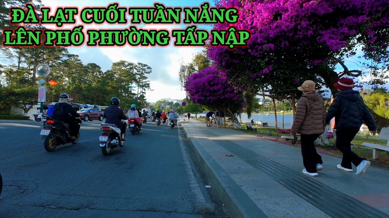 ĐÀ LẠT CHIỀU CUỐI TUẦN NẮNG LÊN MÁT MẺ PHỐ PHƯỜNG TẤP NẬP
