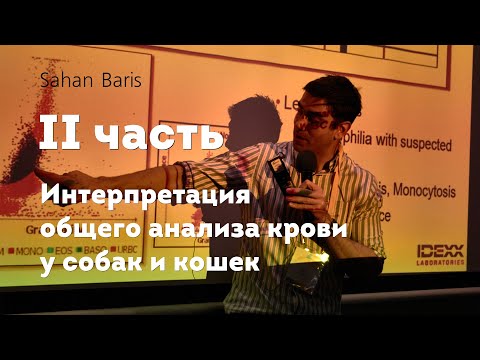 Интерпретация общего анализа крови у собак и кошек. 2 часть