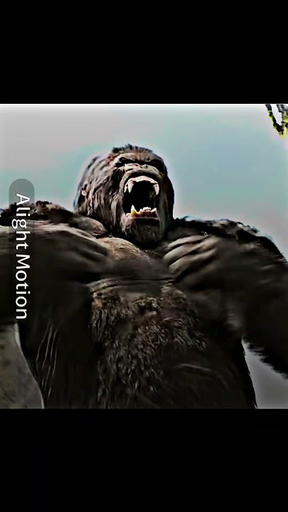 King Kong vs Jaws #kingkong #jaws #legends #giantmonster