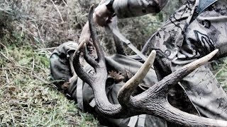 S:6 E:8 Free Range Red Stag in New Zealand with Remi Warren of SOLO HNTR