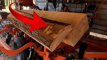 NOT What You Want To Find Inside A Log!