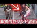 全ての◯物合法ゾンビタウンのその後.... @TanomuzeEdita