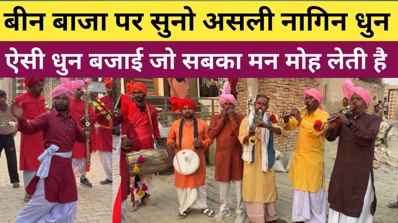 बीन बाजा पर सुनो असली नागिन धुन - जींद जिले के थूआ गाँव की पार्टी 