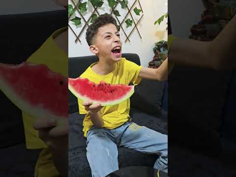 بسم الله في كل امور حياتنا  