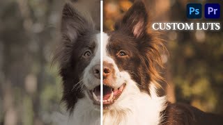 Create Custom Luts On Photoshop For Premiere Pro