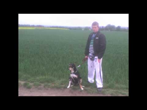 BlackPanther-Ich bin ein rapper (16 Bars)