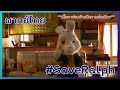 Save Ralph [พากย์ไทย] หนังสั้นกระต่ายที่ถูกจับมาทดลองเครื่องสำอางค์ #SaveRalph