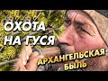 ОХОТА НА ГУСЯ / Архагельская быль / ЭТО НЕ СКАЗКА