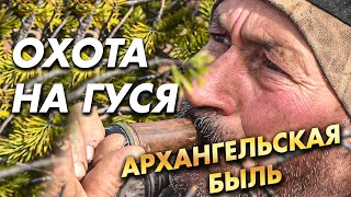 ОХОТА НА ГУСЯ / Архагельская быль / ЭТО НЕ СКАЗКА