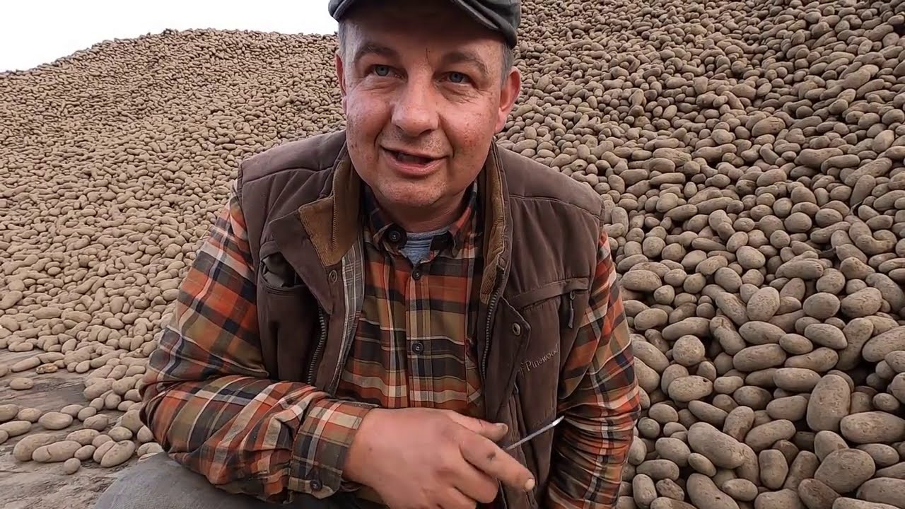 Jak Przechować 18 000 ton Ziemniaków - Rapta i Jego Gospodarstwo