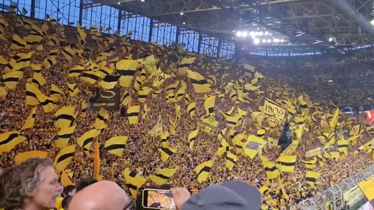 Yellow Wall #bvb #dortmund #BVBPSG